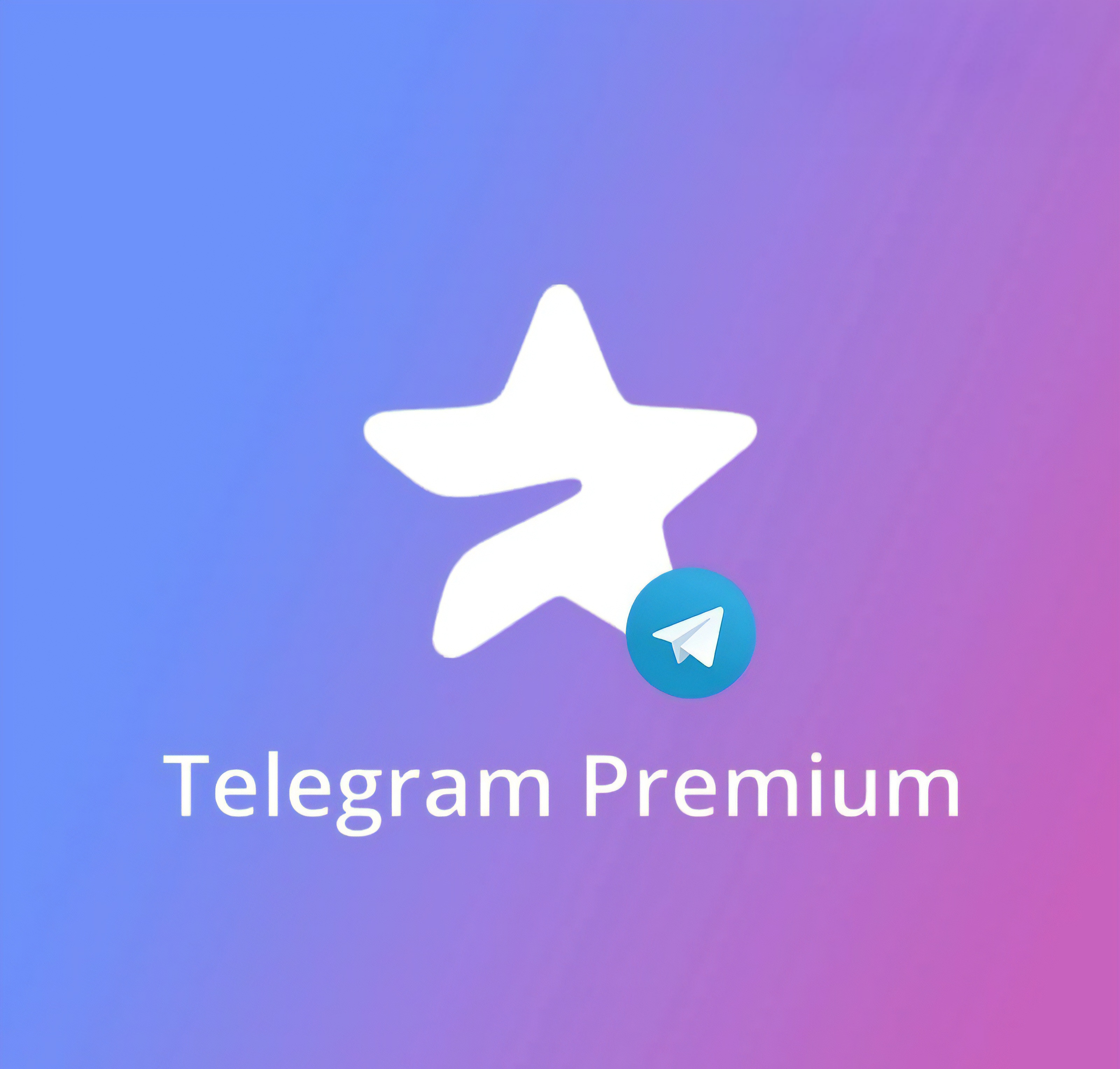 Premium 12 месяцев